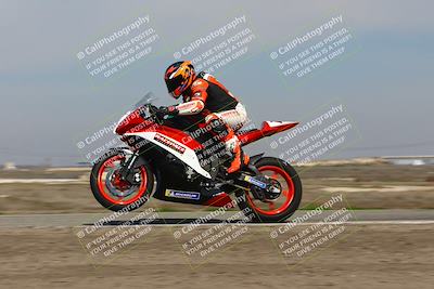 media/Feb-21-2025-Lets Ride (Fri) [[f483f33afd]]/Race Group/12pm (Wheelie Bump)/